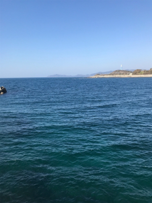 久しぶりのエギング❗️