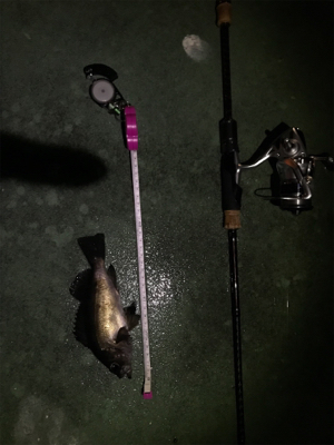 御所浦ライトゲーム最終日