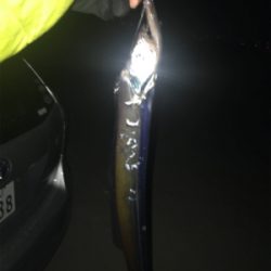 激寒の中でもおったら釣れます