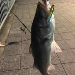 マルチヒットにロスト地獄