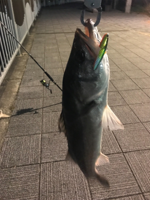 マルチヒットにロスト地獄