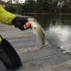 極寒のバスフィッシング