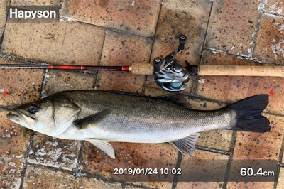 見えシーバス騙し討ち