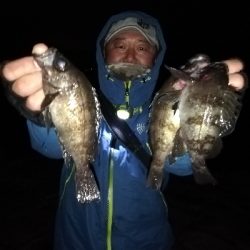 極寒爆風メバリング