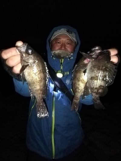 極寒爆風メバリング