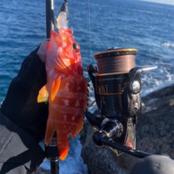 ウィンターロック