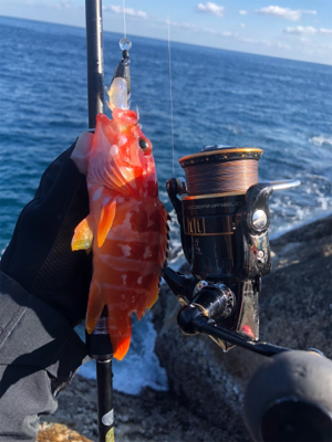 ウィンターロック