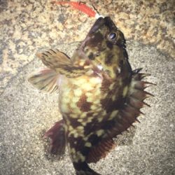 荒天のメバリング