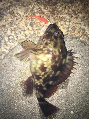 荒天のメバリング