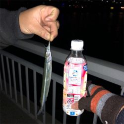 自作ワームで夜釣り！！