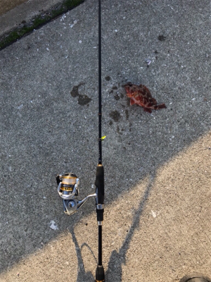 栖本港ライトゲーム②