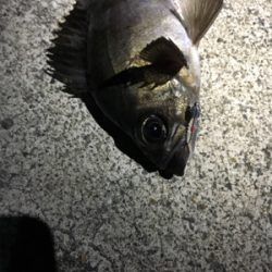 メバリングゲーム