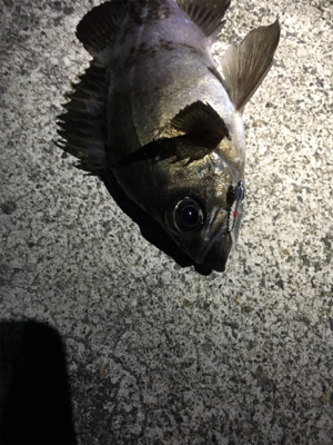 メバリングゲーム