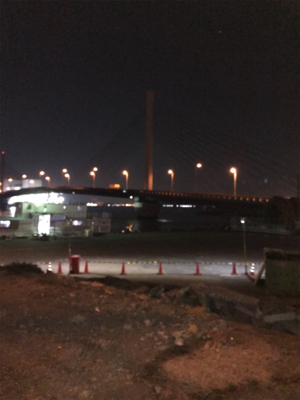 チーバス 一匹(汗)