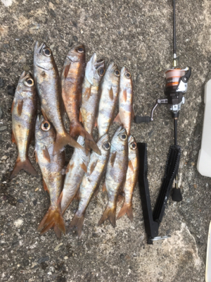 デイアジング！