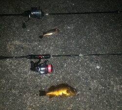 冬のライトゲーム