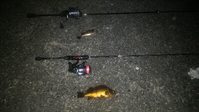 冬のライトゲーム