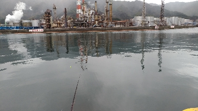 1/26釣果 アジぽつぽつ