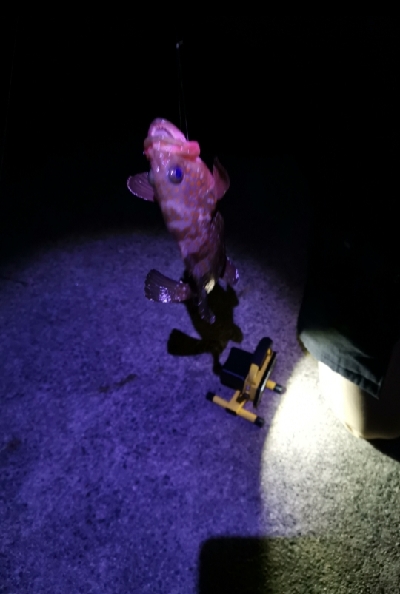 水温が下がってきても釣れました！