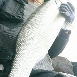 風速９mの爆風でサラシを撃ちまくる。