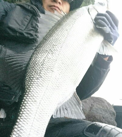 風速９mの爆風でサラシを撃ちまくる。