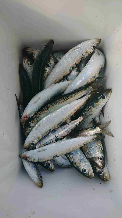 そろそろ終わり