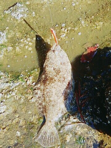 天気いいが寒い