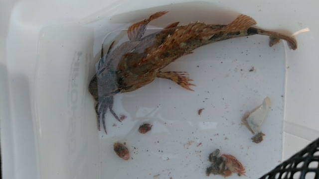 穴の中に何かが居る！