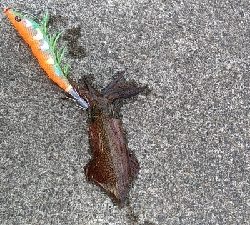 ライトちょい投げ