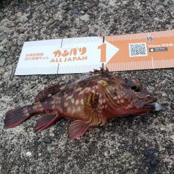 今年初淡路島へ・・・