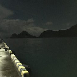 短時間アジング