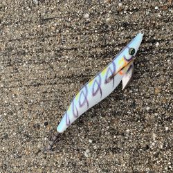 朝一の短時間、ボトムで好反応！