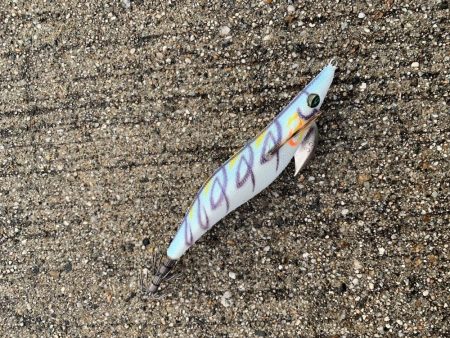 朝一の短時間、ボトムで好反応！