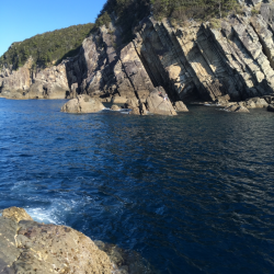 大島沖ソエでグレとイサキ