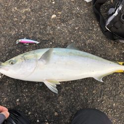 ナブラミノー炸裂