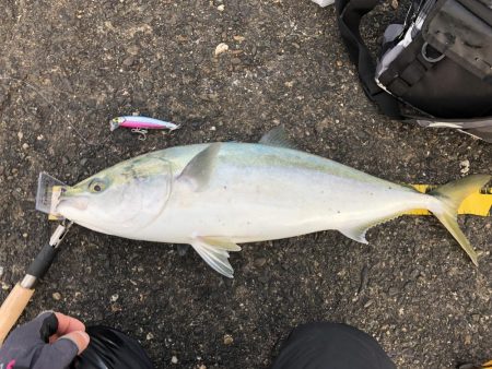 ナブラミノー炸裂