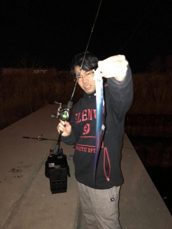 タチウオがまわってきた！