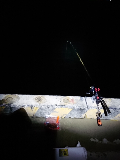 マアジからの丸アジ❗