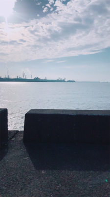 ヒラメ？カレイ？