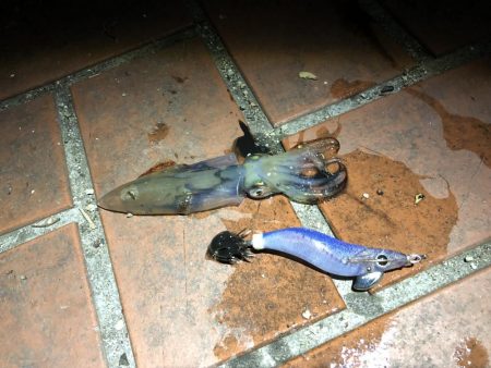 いつまで釣れる？笑