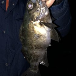 関門メバル 修行