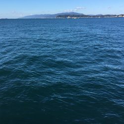 気合いが空回り