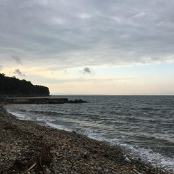 ガシラ、メバル、アイナメ？クジメ？、ギンポ