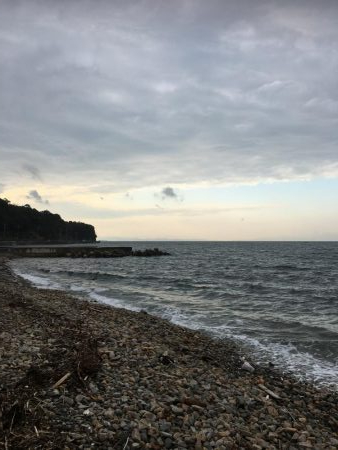 ガシラ、メバル、アイナメ？クジメ？、ギンポ