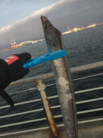 まだ釣れました