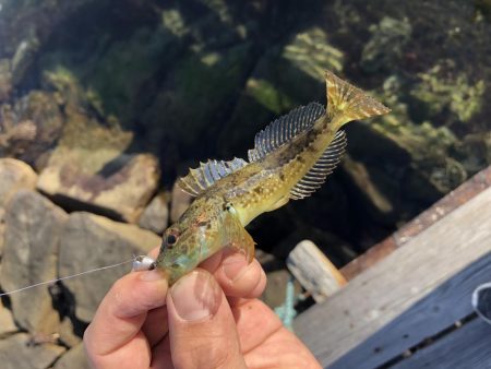 久しぶりの釣り