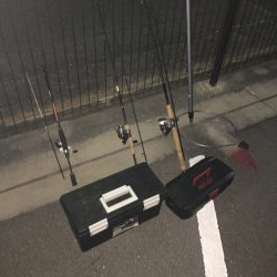 無風メバリング?