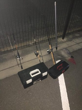 無風メバリング?