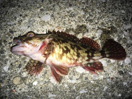 アタリが少ないと寒さ倍増