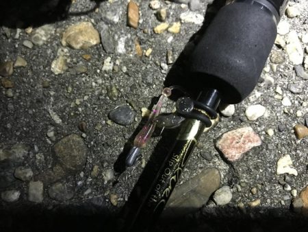 夕マヅメ1時間勝負